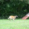 obeissance 2014-08-02